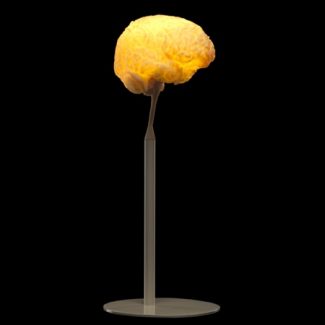 Brain Lamp is a Scale Replica of a Human Brain
