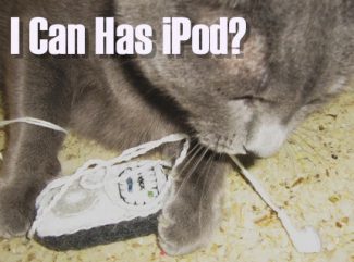 iPod for Your Cat