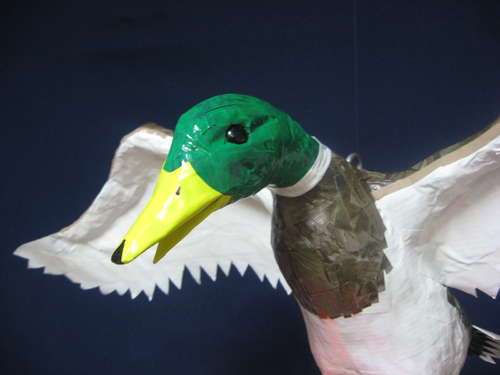 duct tape duck close Duct Tape Duck