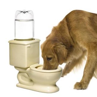 Toilet Bowl Dog or Cat Water Bowl