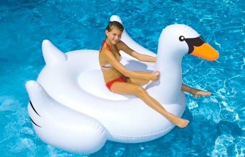 leisure swan Leisure Swan