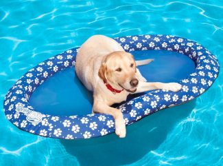 Pool Float for Dogs