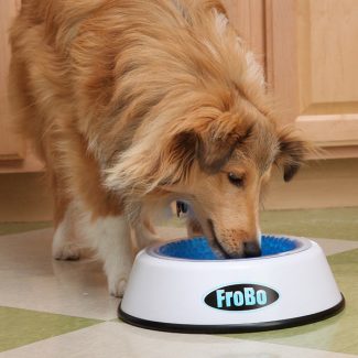 Frobo Pet Bowl Keeps Water Chilled for 8 Hours