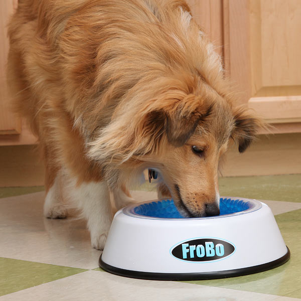 frobo pet bowl woof Frobo Pet Bowl Keeps Water Chilled for 8 Hours