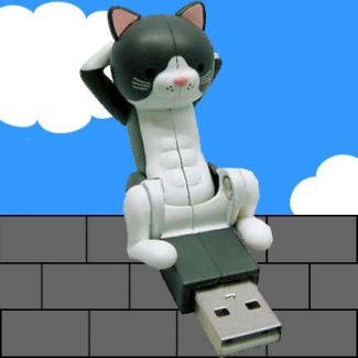 USB Crunching Cat