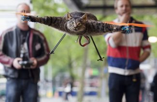 Man Turns Dead Stuffed Cat Into a Helicopter (WTF?)