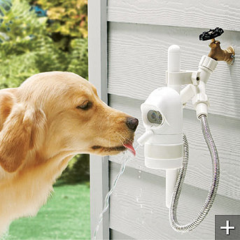 auto pet feeder Motion Sensing Automatic Outdoor Pet Fountain
