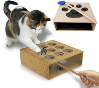 Best Cat Toy Ever? Cat Whack-a-Mole
