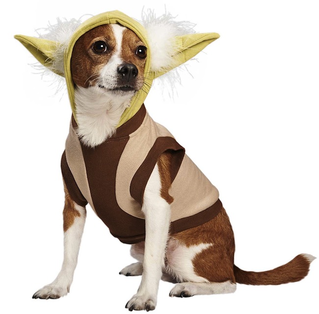 yoda dog hoodie