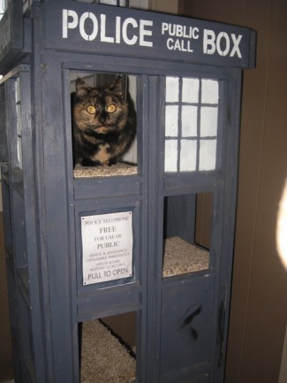 Doctor Who Tardis Cat Condo