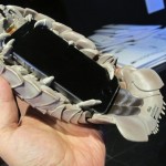 sea creature iphone case