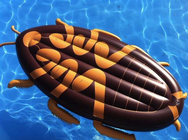 cockroach pool float