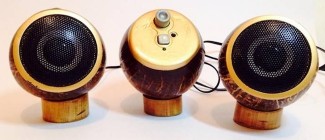 DIY Coconut Speakers