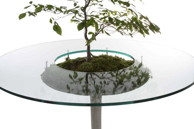 table with plant top
