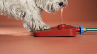 Pawcet Dog Operated Drinking Fountain