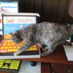 usb cat keyboard