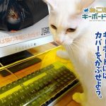 anti cat keyboard