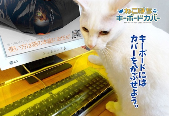 anti cat keyboard