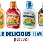 petchup 4 flavors