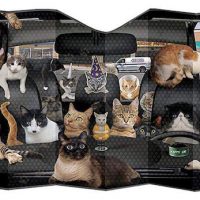 car full of cats sunshade