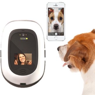 PetChatz is a Full On Digital Doggie Daycare