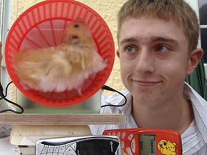 The Animatrix is Real: Hamster Powered Generator