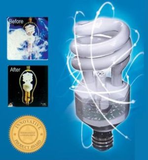 Ionic Light Bulb Freshens and Enlightens