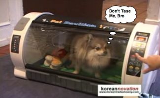 Korean Dog House Looks Like a Rotisserie Oven, Heats Up Your Pooch