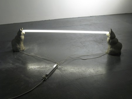 Laser Cats Staring Light