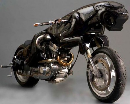 Awesome Cat Motorcycle