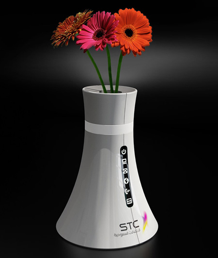 Wireless Router is Also a Vase