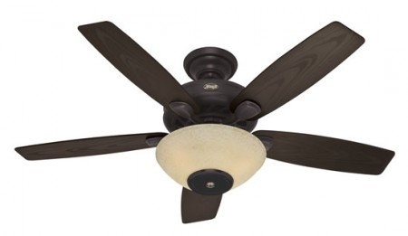 Ceiling Fan with Built in Speakers