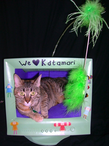 Cat Bed Made from a Computer Monitor
