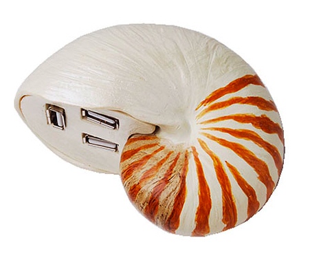 Seashell Shaped USB Hub