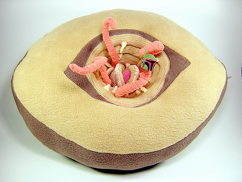 Sarlacc Pit Monster Pillow- Greatest Star Wars Craft Ever
