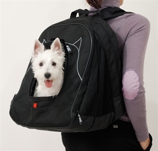 Laptop Bag Dog Carrier holds a Laptop and a Lapdog