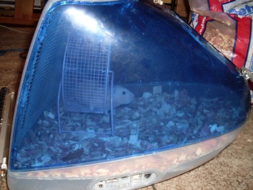 iMac Hamster Cage is the Geekiest Pet Housing Ever