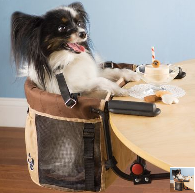 A High Chair for Your Pet