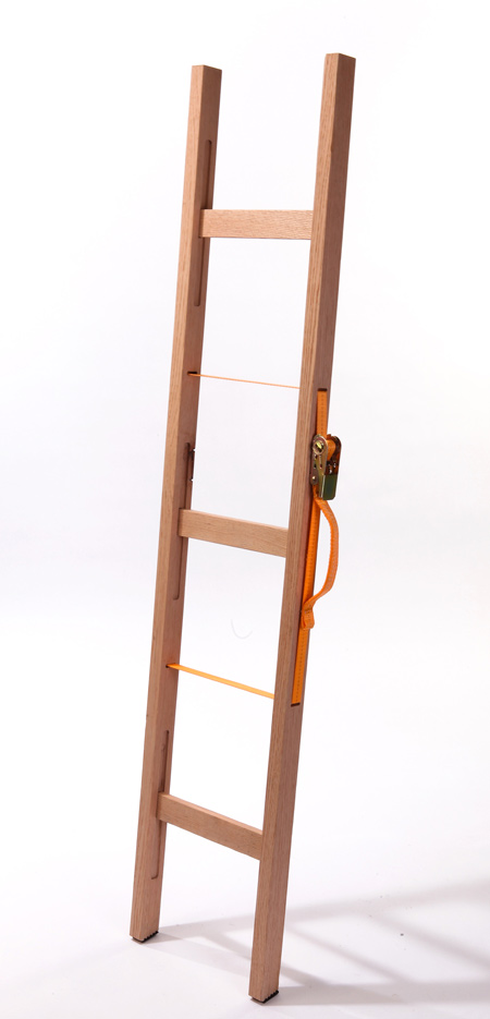 Unique Collapsible Ladder