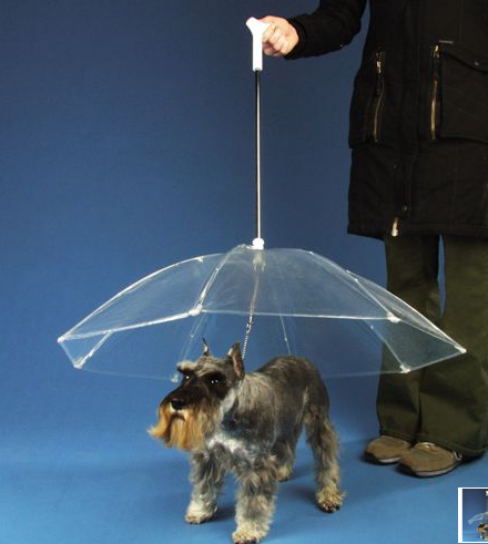 The Dogbrella Keeps Your Dog Dry