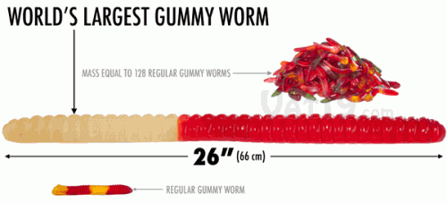 World's Largest Gummy Worm is a 4000 Calorie Monster