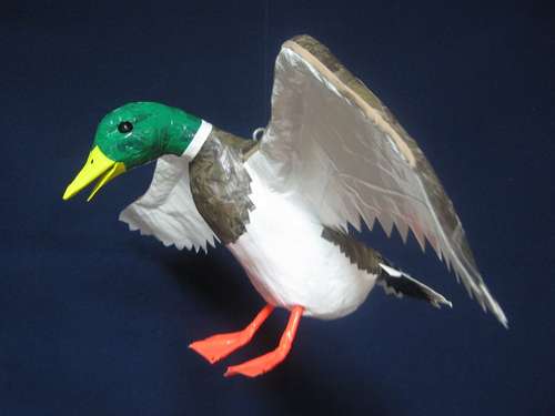 Duct Tape Duck