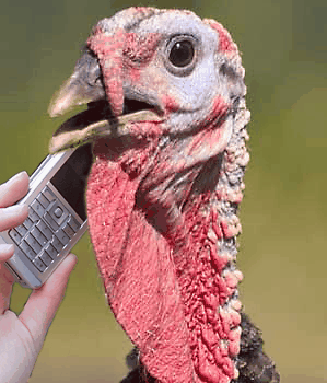 Happy Thanksgiving from Craziest Gadgets