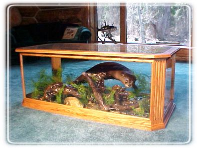 Wolf and Otter Habitat Coffee Tables