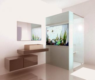 Shower with Built in Aquarium