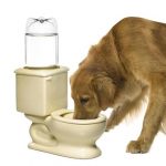 toilet dog bowl