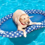 dog pool float