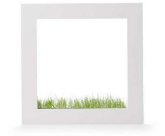 Picture Frame Planter