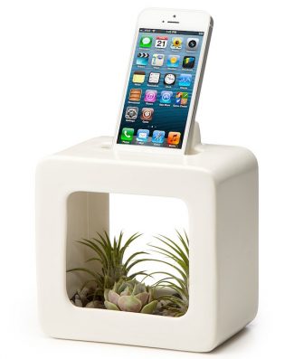 Bloom Box Planter and iPhone Dock