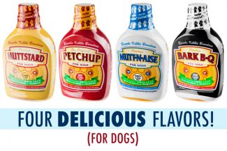 Petchup Pet Food Condiments